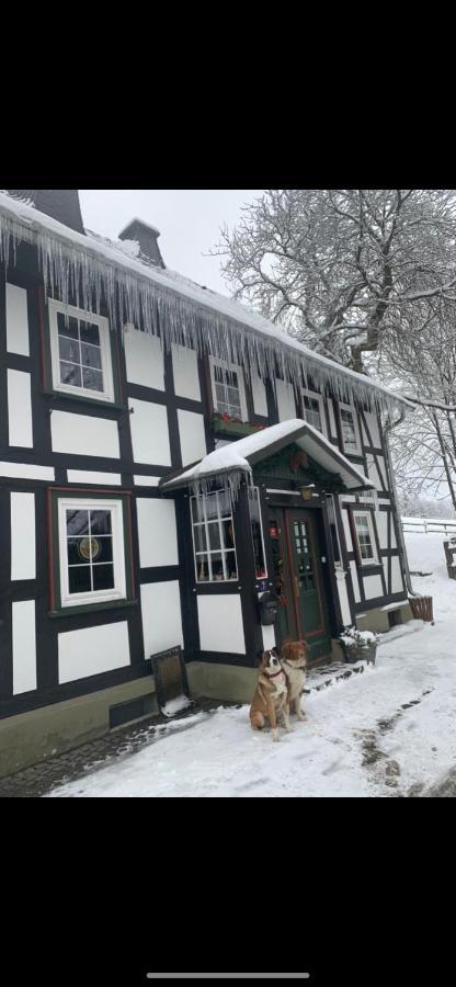 Berghof Schmitte Guest House Winterberg Eksteriør bilde
