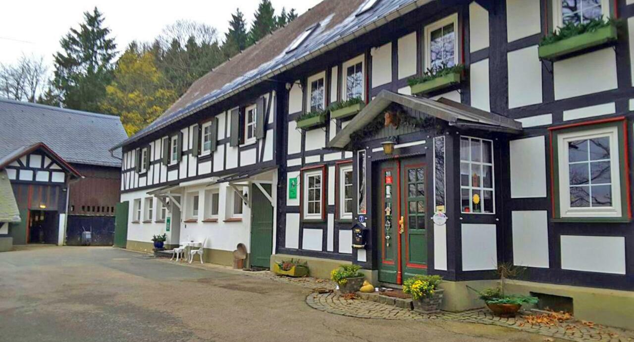 Berghof Schmitte Guest House Winterberg Eksteriør bilde