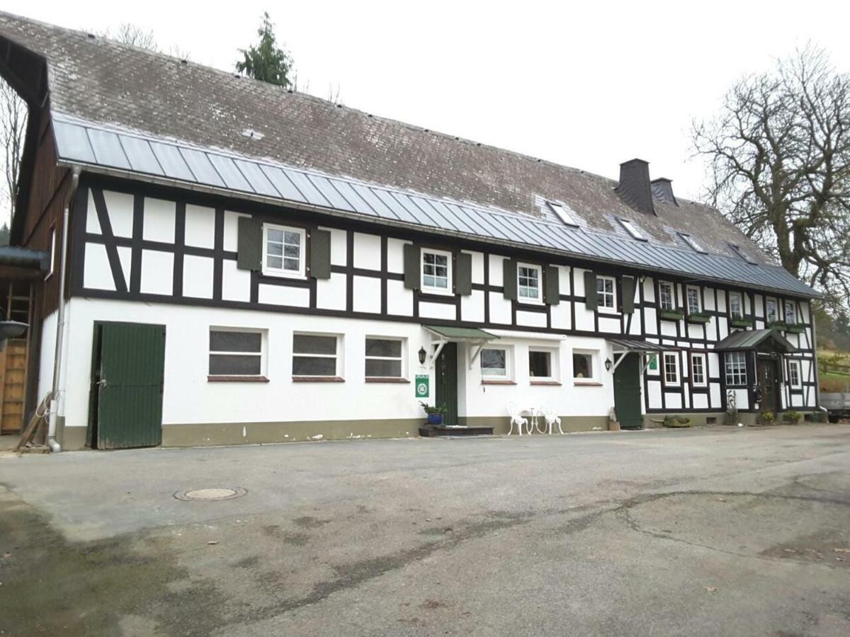 Berghof Schmitte Guest House Winterberg Eksteriør bilde