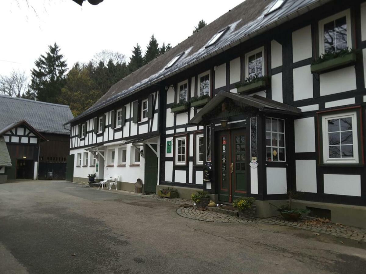 Berghof Schmitte Guest House Winterberg Eksteriør bilde