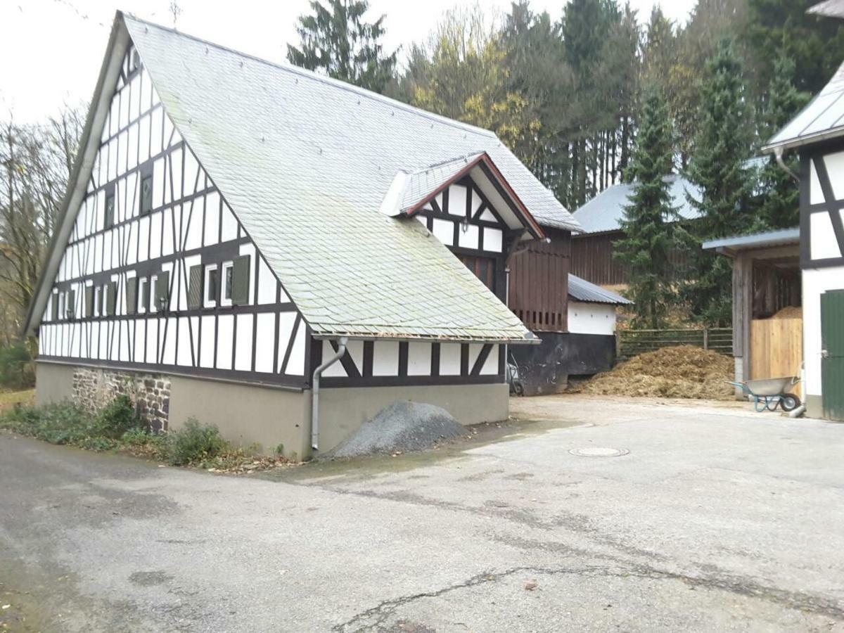 Berghof Schmitte Guest House Winterberg Eksteriør bilde